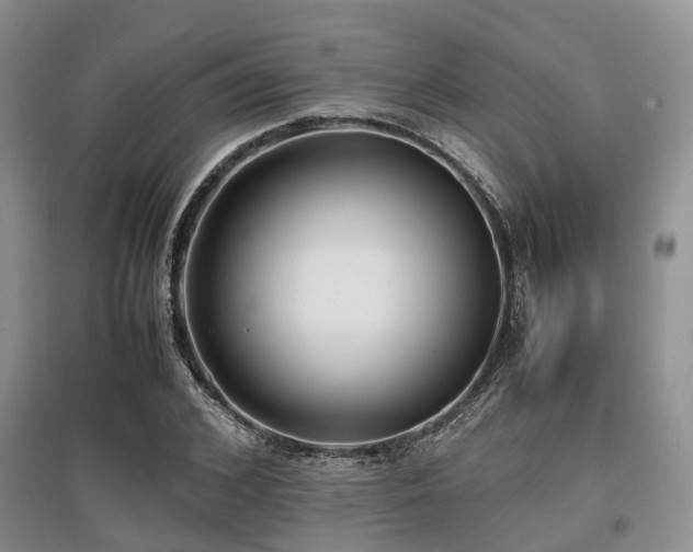 X0000097880976200803141316