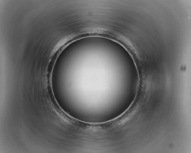 X0000097880978200803141316