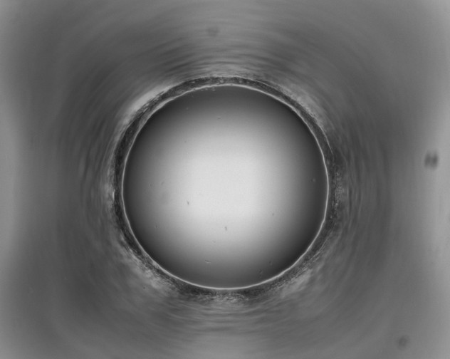 X0000097880979200803141316