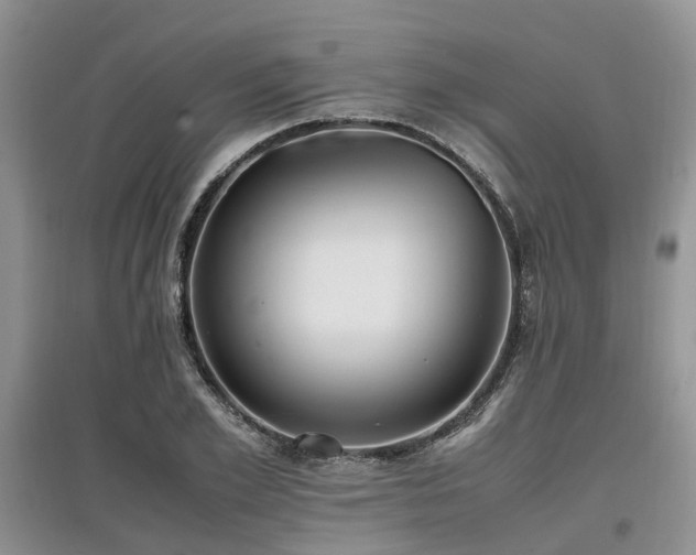 X0000097880981200803141316
