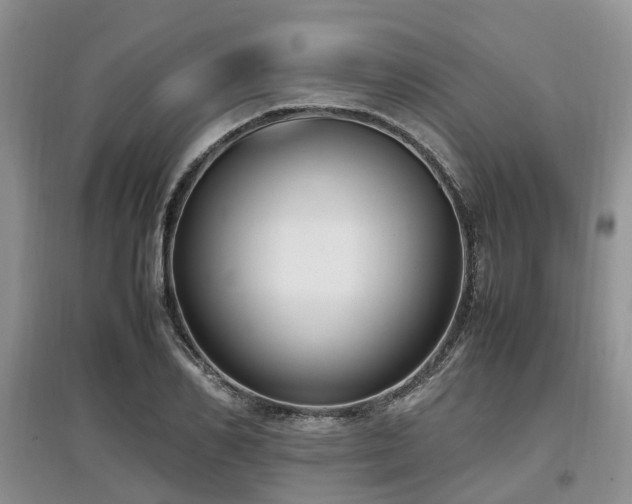 X0000097880982200803141316