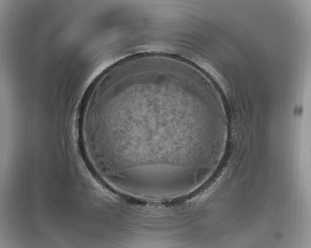 X0000097880983200803141316