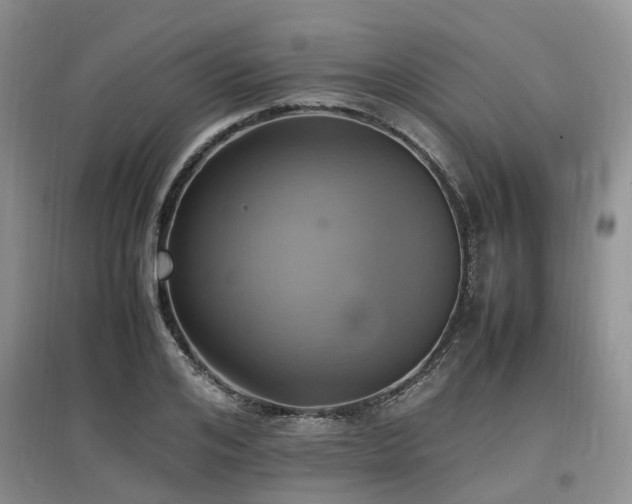 X0000097880984200803141316