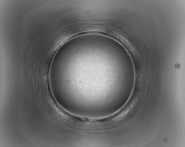 X0000097880985200803141316