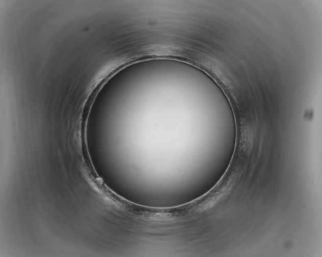 X0000097880986200803141316