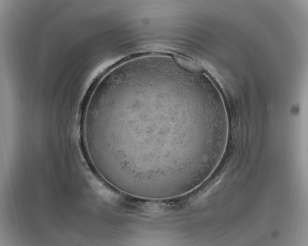 X0000097880987200803141316