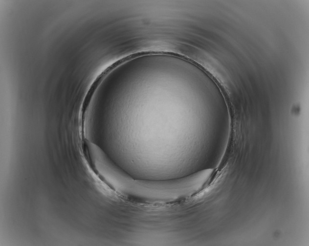 X0000097880988200803141316