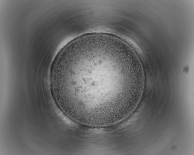 X0000097880990200803141316