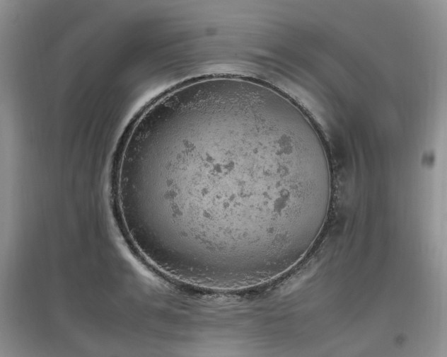 X0000097880991200803141316