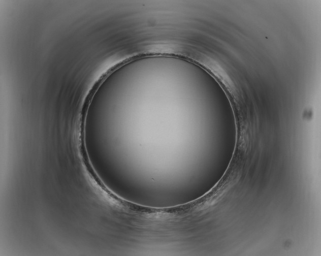 X0000097880992200803141316