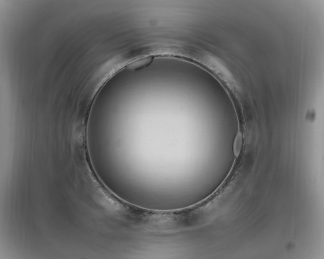 X0000097880993200803141316