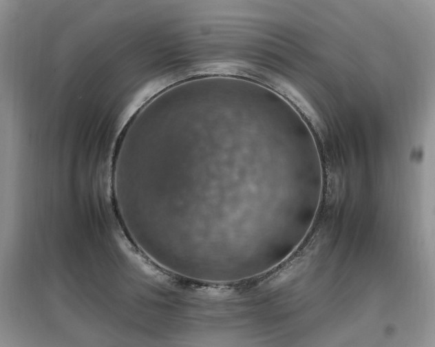 X0000097880994200803141316