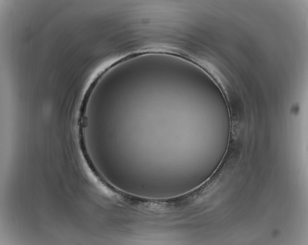 X0000097880995200803141316