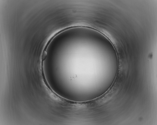 X0000097880996200803141316