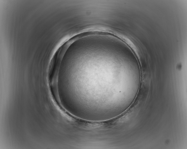 X0000097880997200803141316