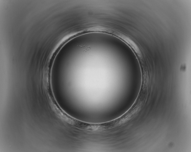 X0000097881000200803141316