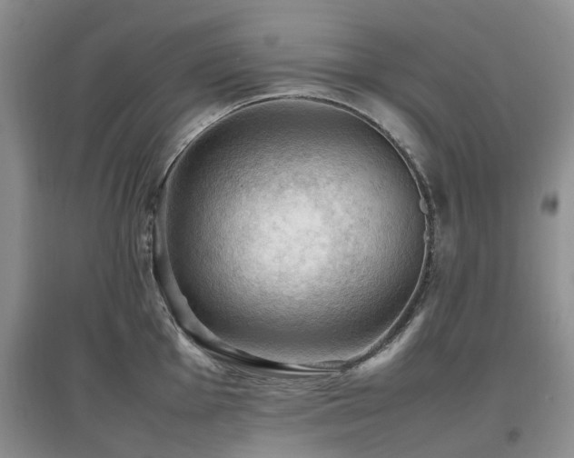 X0000097881001200803141316