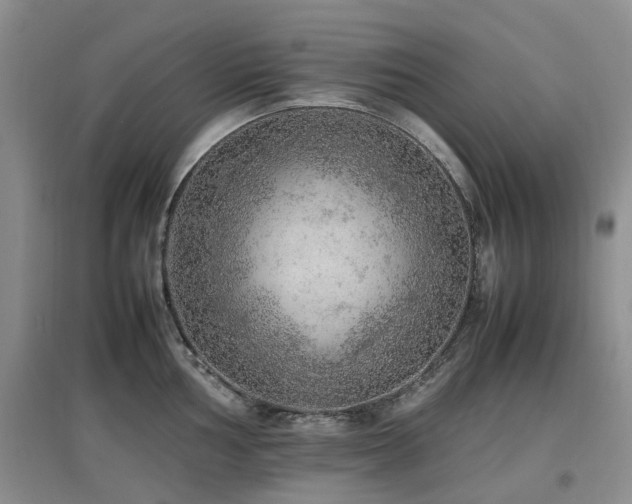 X0000097881002200803141316