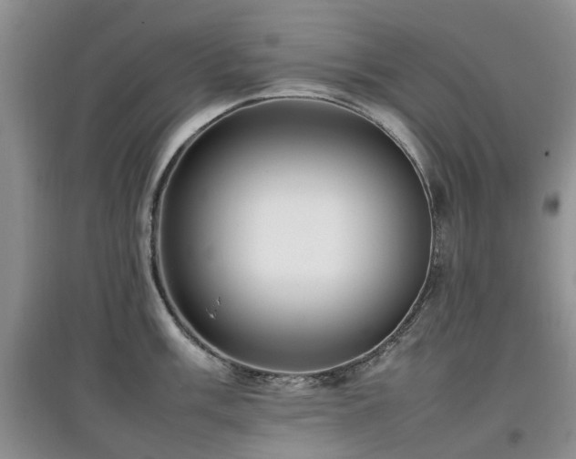 X0000097881003200803141316