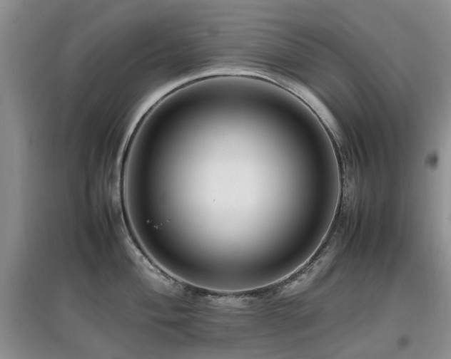 X0000097881004200803141316