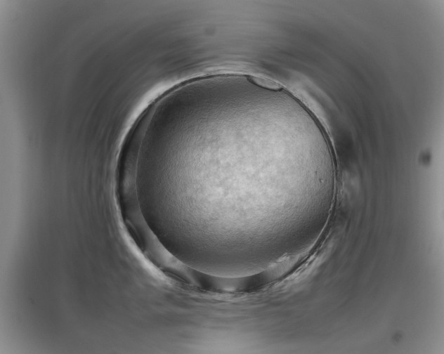 X0000097881005200803141316