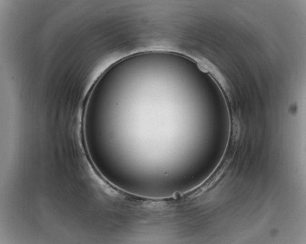 X0000097881006200803141316