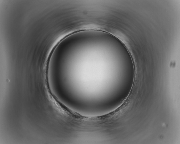 X0000097881008200803141316