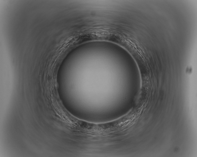 X0000097881009200803141315