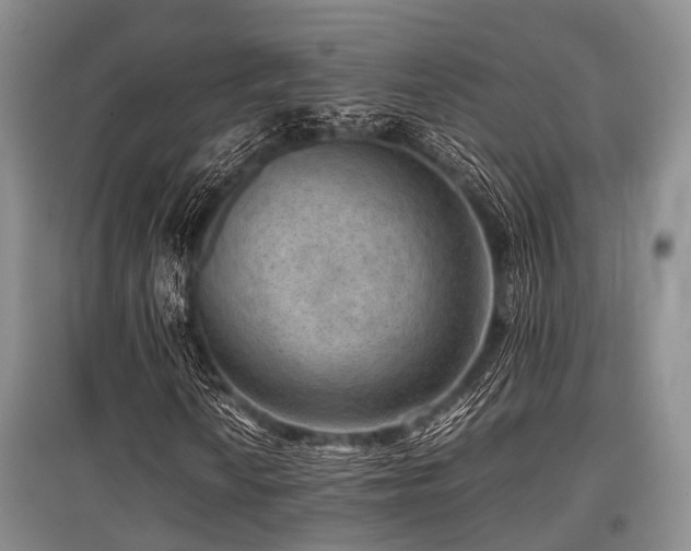 X0000097881010200803141315