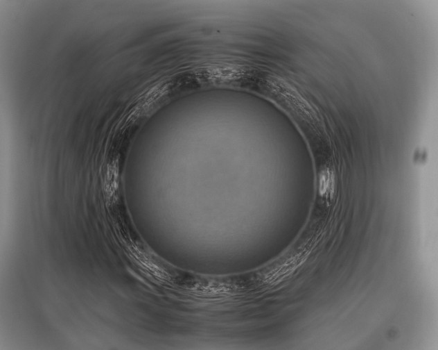 X0000097881011200803141315