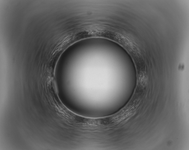 X0000097881012200803141315