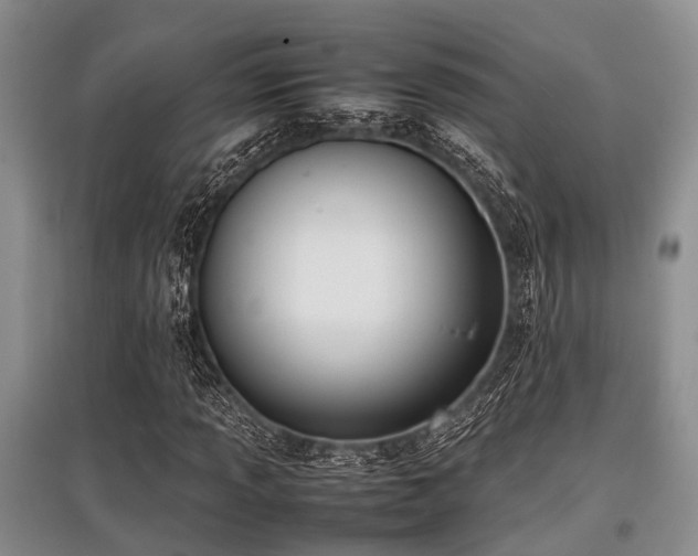 X0000097881013200803141315