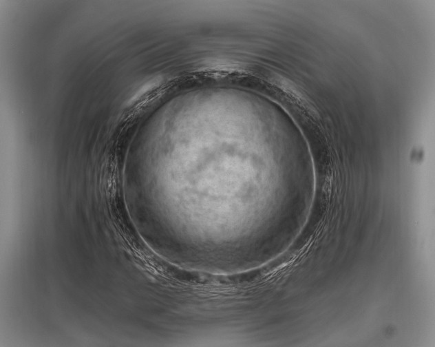 X0000097881014200803141315
