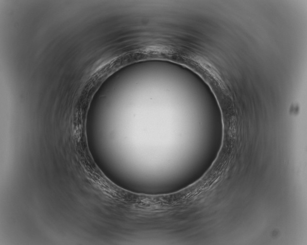 X0000097881015200803141315