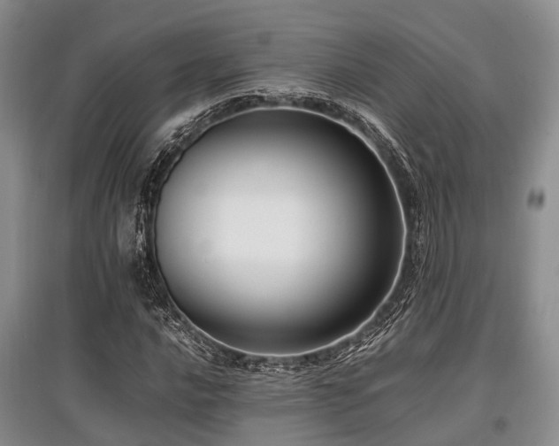 X0000097881016200803141315