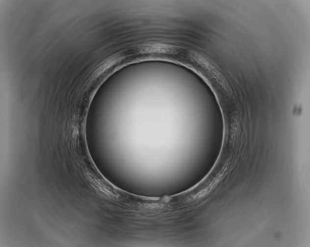 X0000097881017200803141315