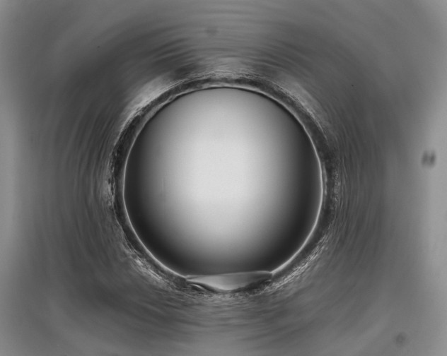 X0000097881018200803141315