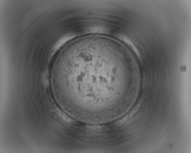 X0000097881019200803141315