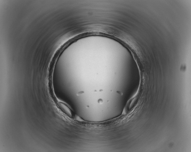 X0000097881020200803141315