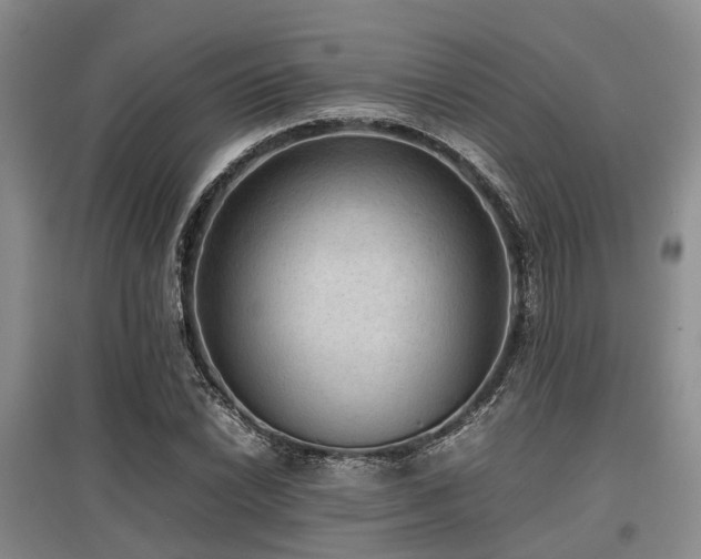 X0000097881022200803141315