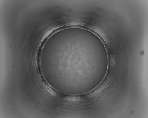 X0000097881023200803141315