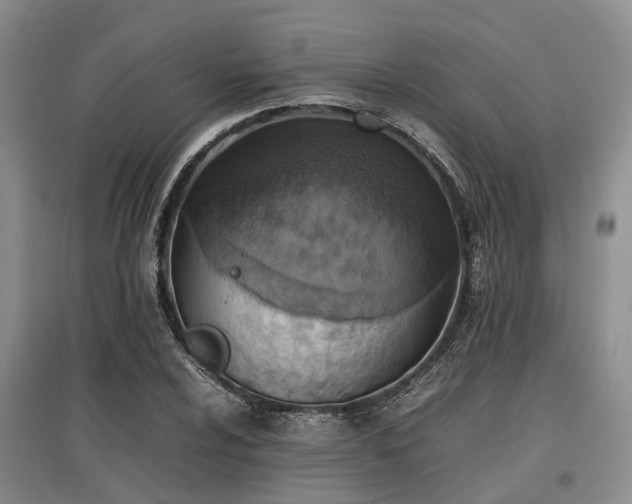 X0000097881024200803141315