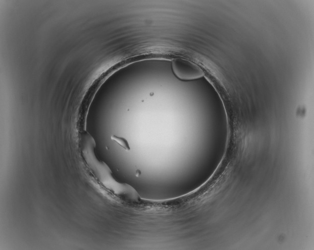 X0000097881026200803141315