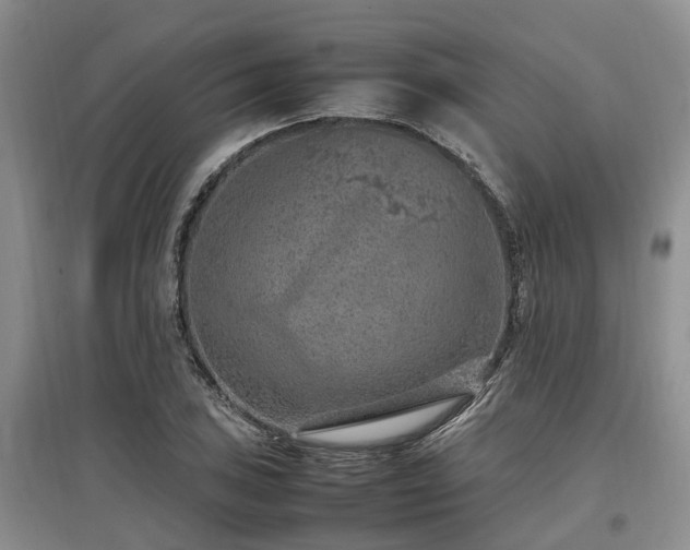 X0000097881027200803141315