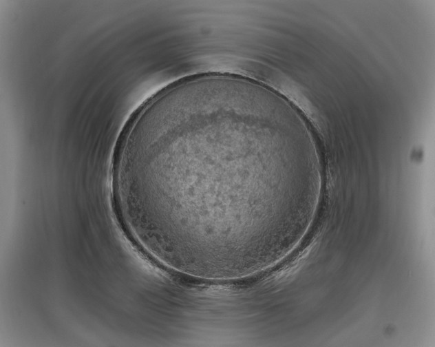 X0000097881028200803141315