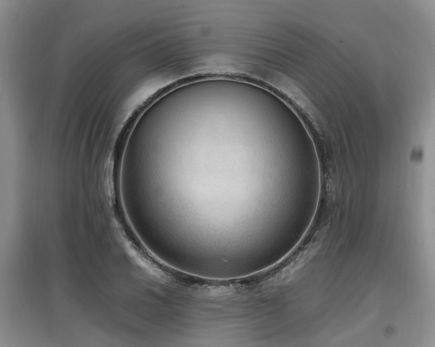 X0000097881030200803141315