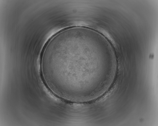 X0000097881032200803141315