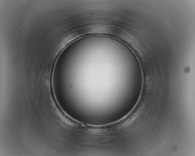 X0000097881033200803141315