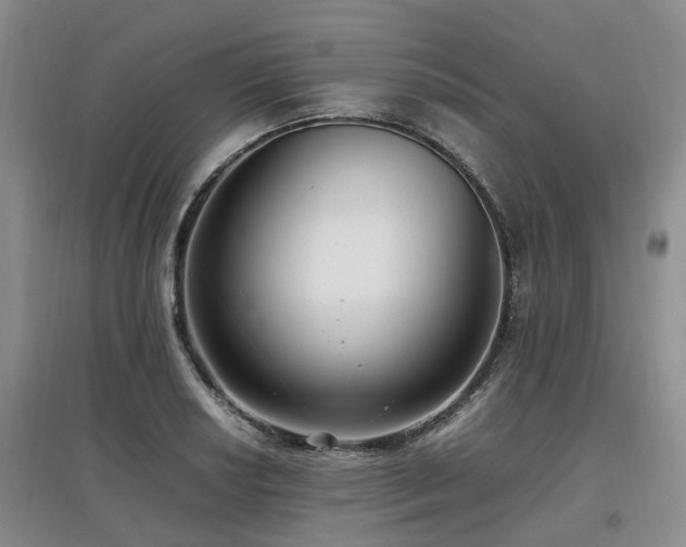 X0000097881034200803141315