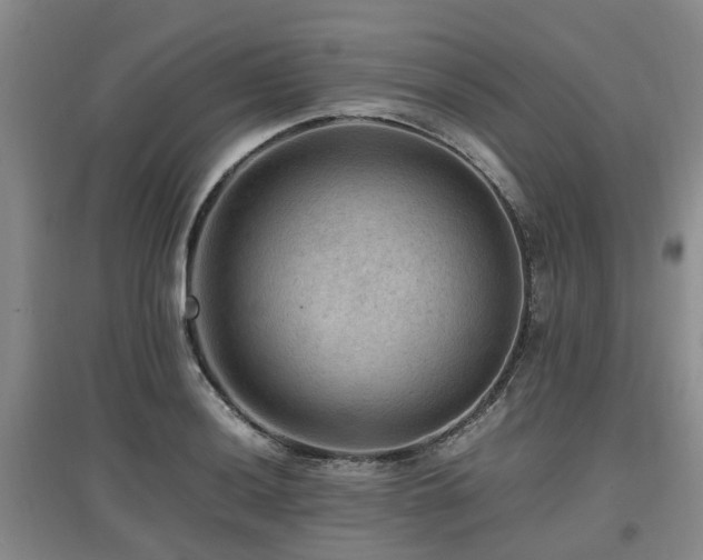 X0000097881036200803141315